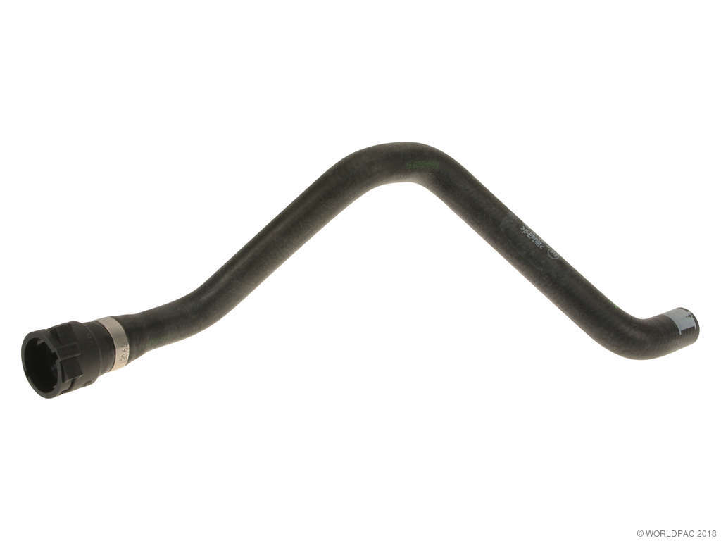 2004-2006 Audi A8 Quattro Radiator Coolant Hose - Lower Left (Genuine)