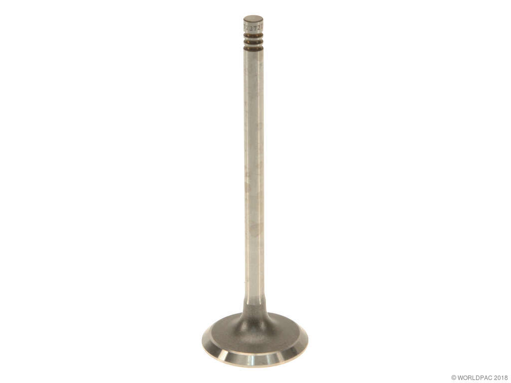 1998-2000 BMW 528i Engine Intake Valve (Genuine)