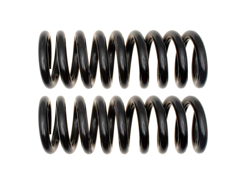 2005-2006 Chrysler 300 Coil Spring - Rear (Moog)