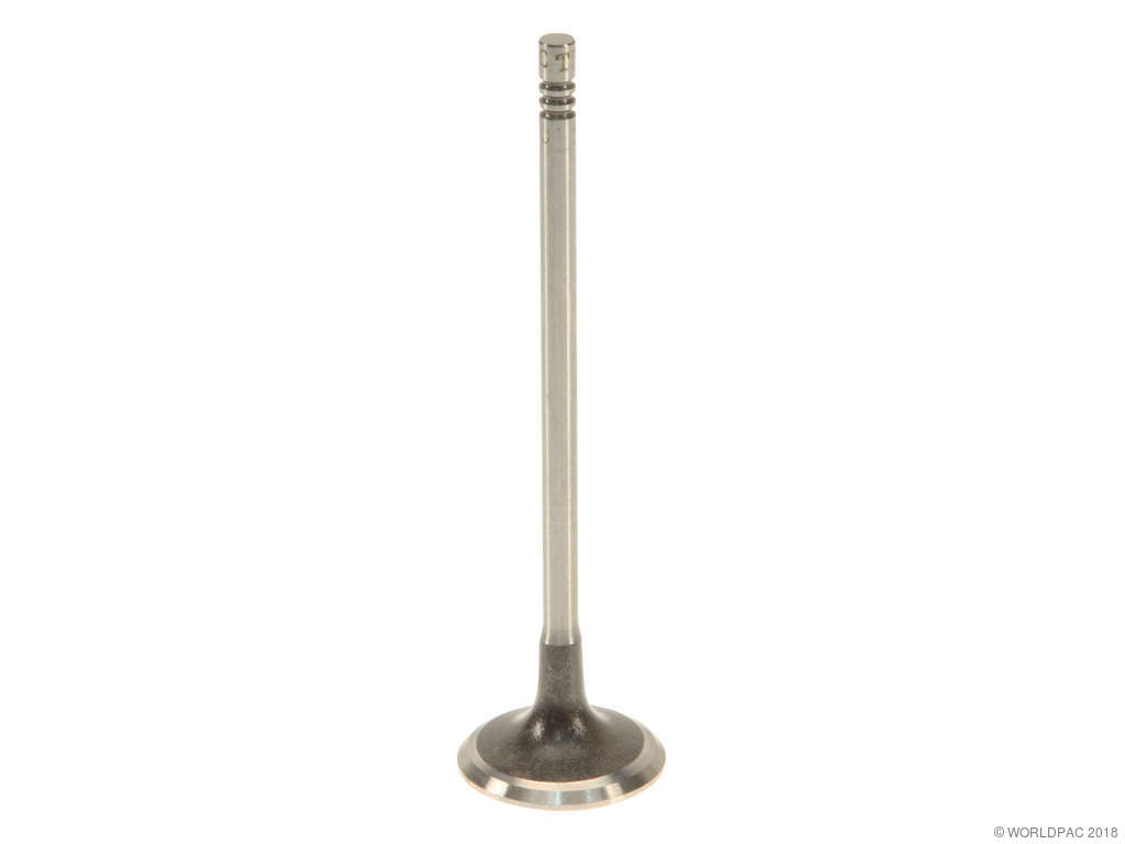 2007-2012 Mini Cooper Engine Intake Valve (TRW)