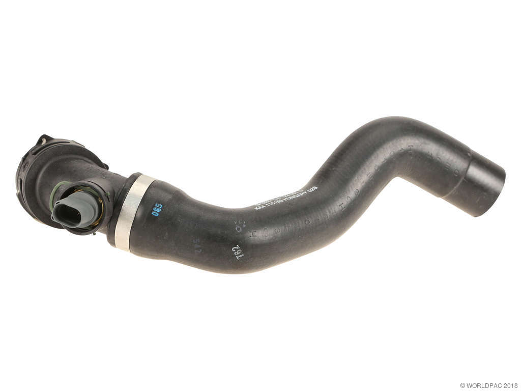 2007-2010 Audi Q7 Radiator Coolant Hose -  or Lower (Genuine)