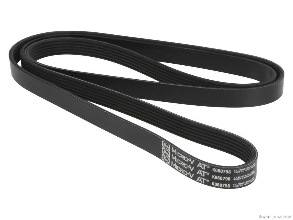 2002-2003 Ford F-150 Accessory Drive Belt - Primary (Gates)