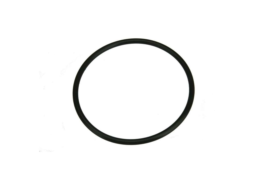 2011-2012 Nissan Quest Fuel Tank Sending Unit Gasket (Autotecnica)