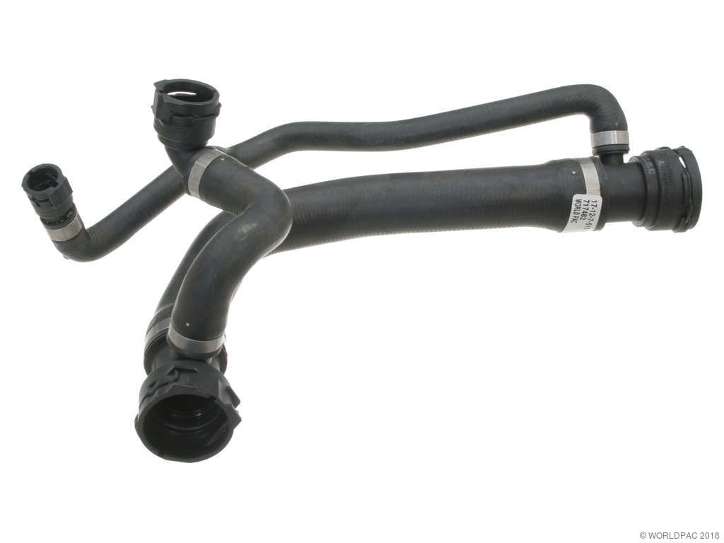 2004-2005 BMW 545i Radiator Coolant Hose - Upper (Genuine)