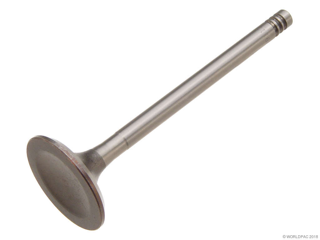 1985-1992 Volkswagen Transporter Engine Intake Valve (TRW)