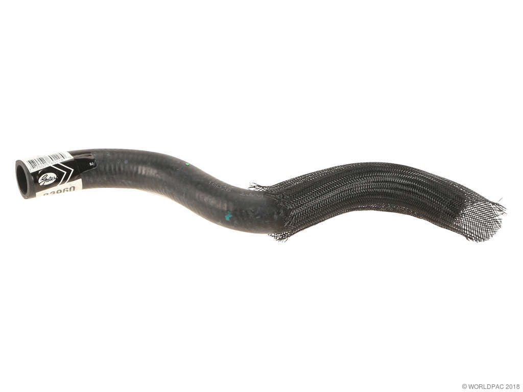 2012-2017 Fiat 500 Radiator Coolant Hose - Upper (Gates)