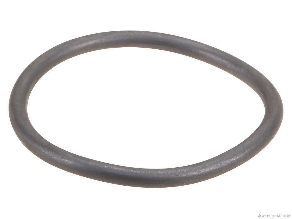 2004-2006 BMW X3 Engine Air Box Gasket (Genuine)