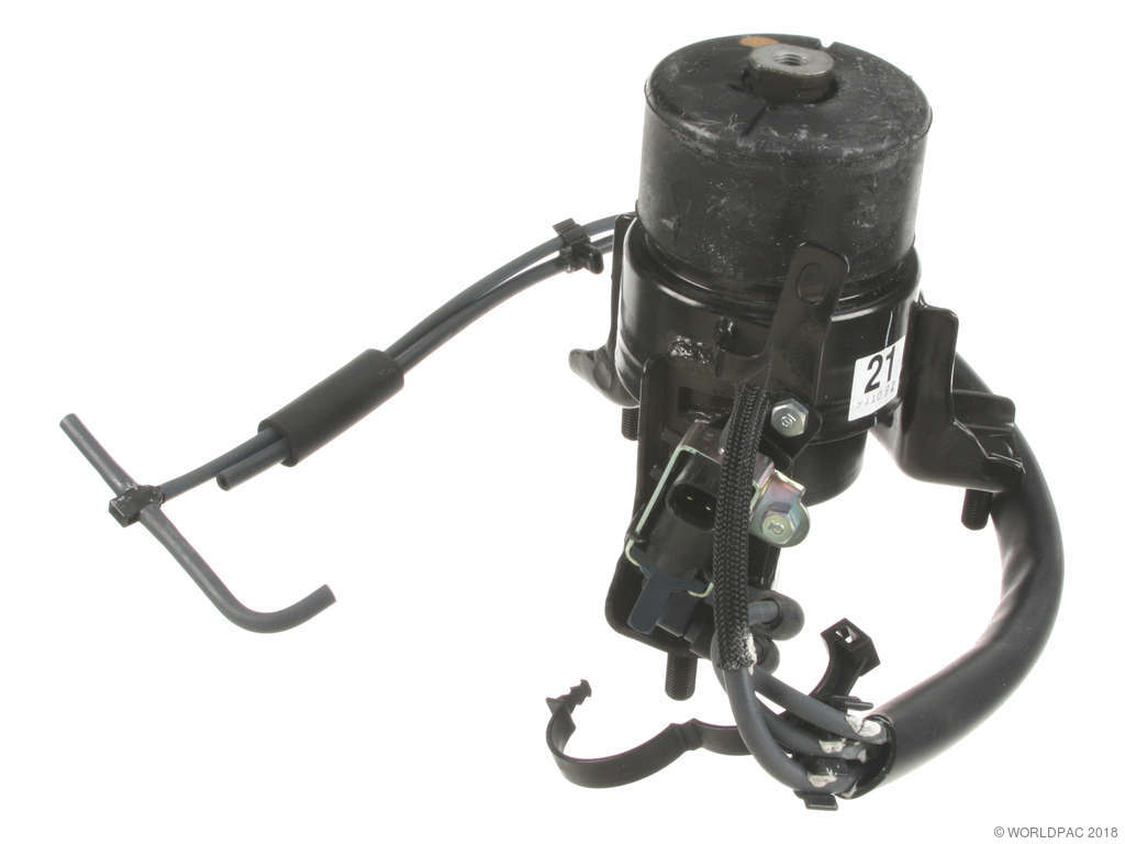 2002-2003 Lexus ES300 Engine Mount - Front (Genuine)
