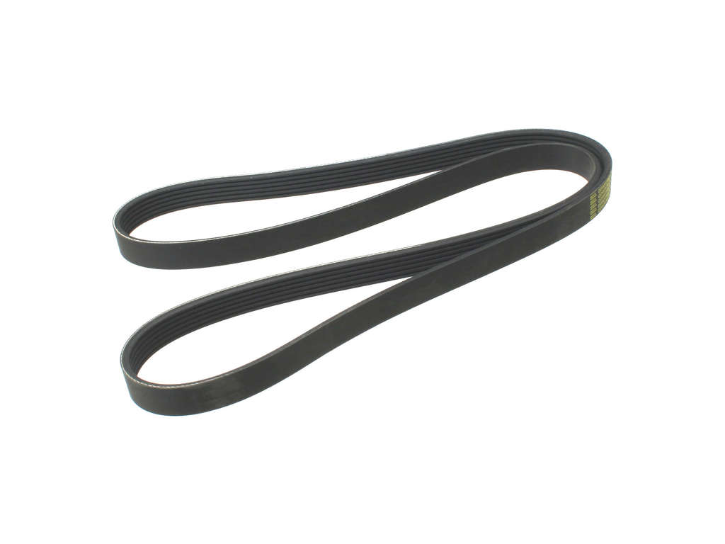 2004-2005 BMW 545i Accessory Drive Belt - Primary (ContiTech)