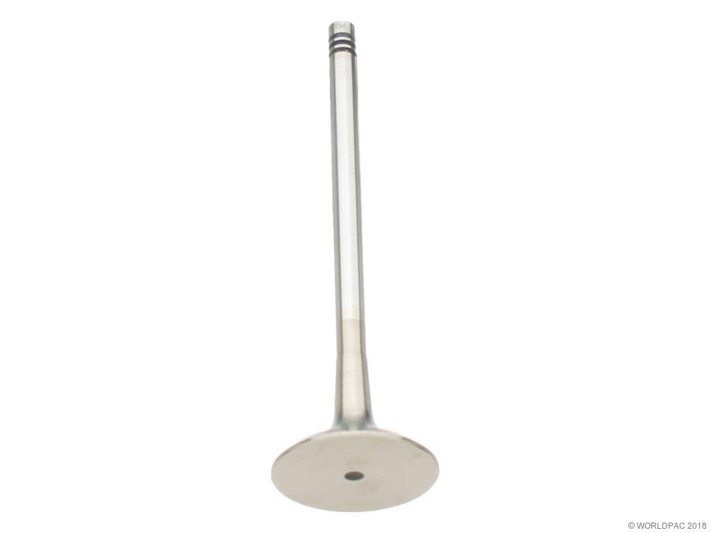 1997-2000 BMW 528i Engine Exhaust Valve (TRW)