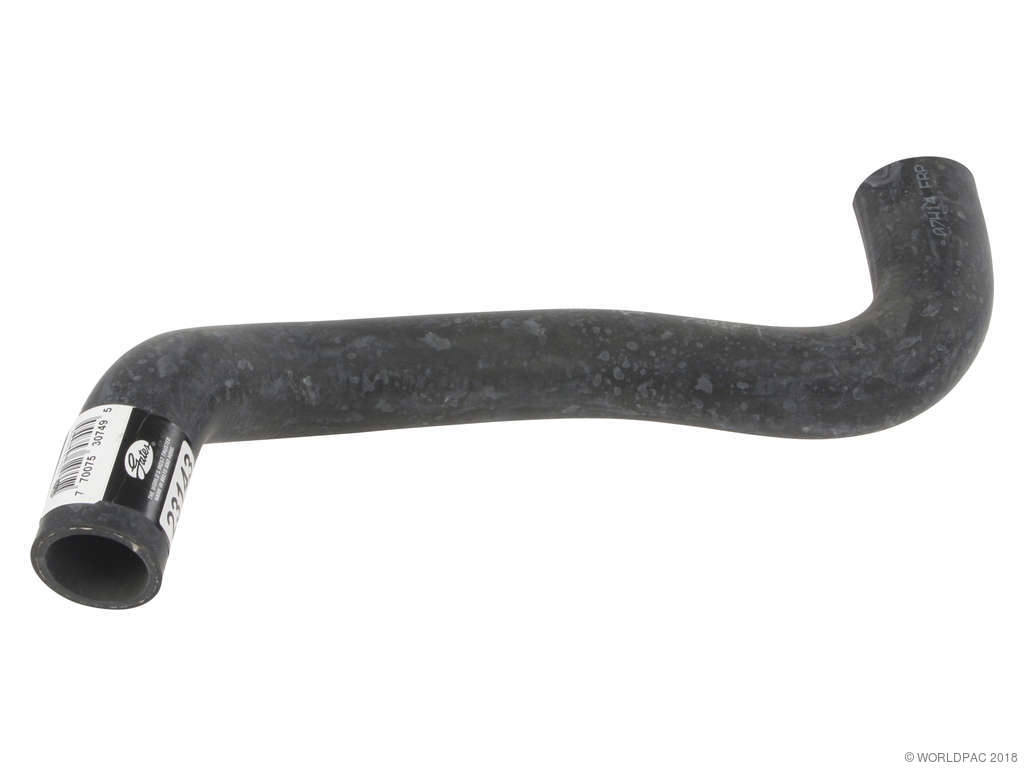2006-2012 Toyota RAV4 Radiator Coolant Hose - Lower (Gates)