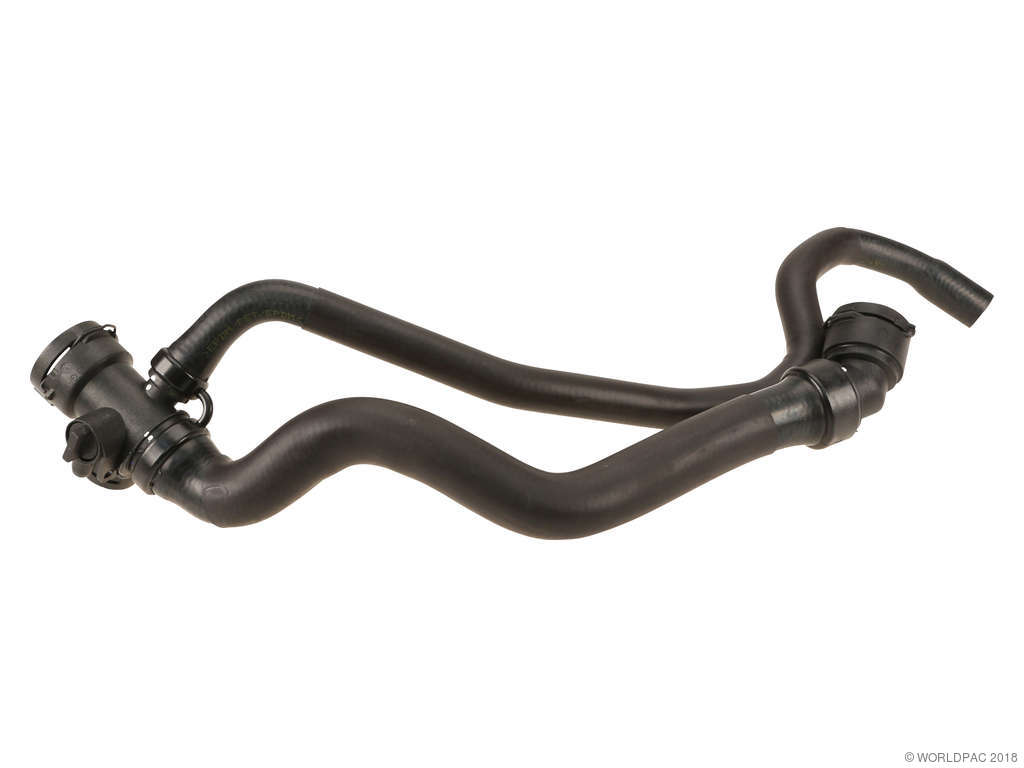 2002-2006 Audi A4 Radiator Coolant Hose - Lower (Rein)