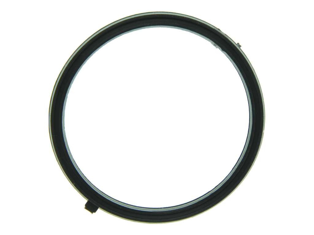 2004-2006 Chevrolet Express 3500 Engine Coolant Outlet O-Ring (Mahle)