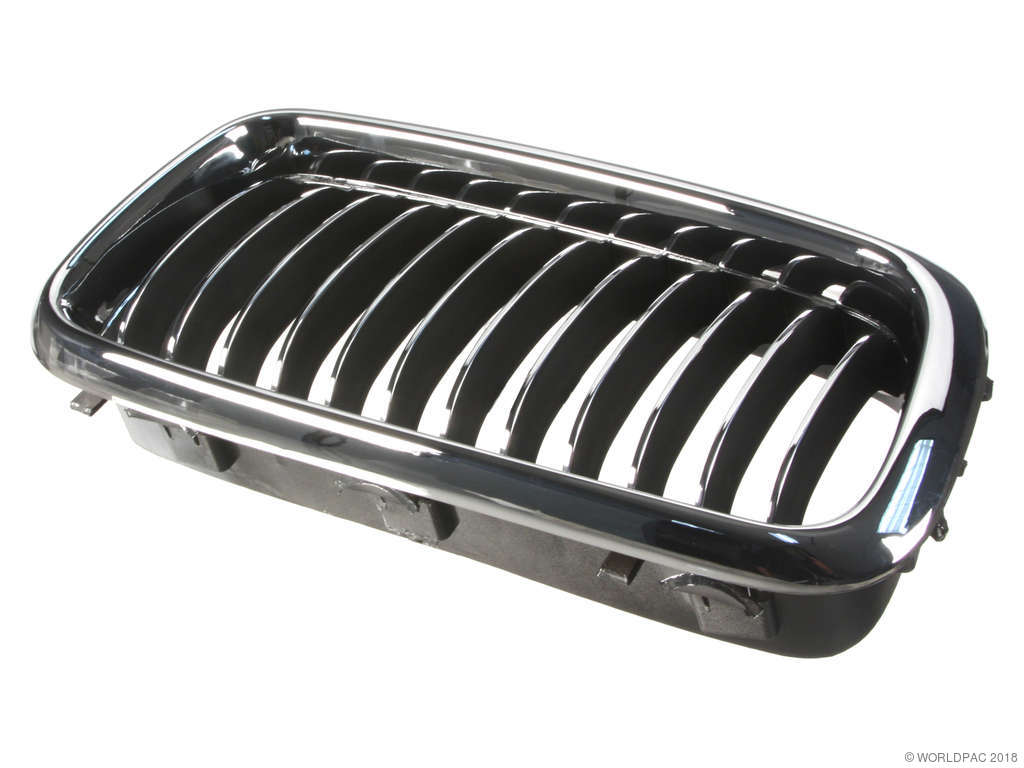 1998-2001 BMW 750iL Grille - Right (Trucktec)