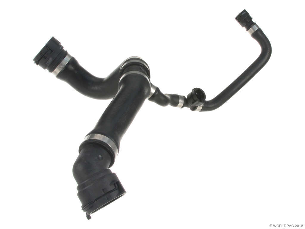 1998-2001 BMW 750iL Radiator Coolant Hose - Upper (Rein)