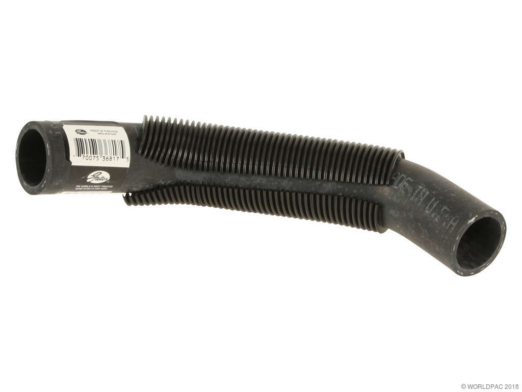2007-2013 Mitsubishi Outlander Radiator Coolant Hose - Upper - Cap To Engine or Upper - Radiator To Cap (Gates)