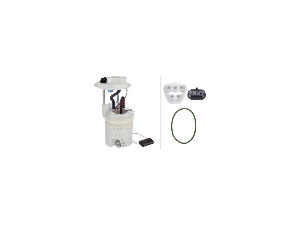 2007-2009 Hyundai Santa Fe Fuel Pump Module Assembly (Hella)