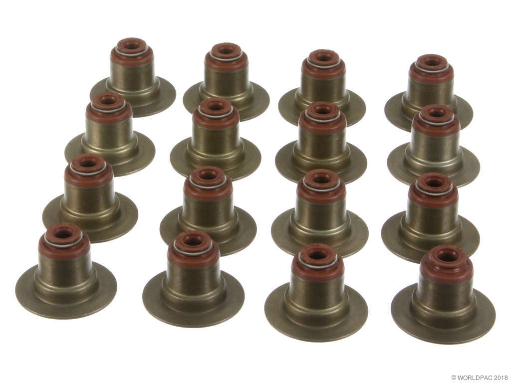2002-2008 Mini Cooper Engine Valve Stem Oil Seal Set (Victor Reinz)