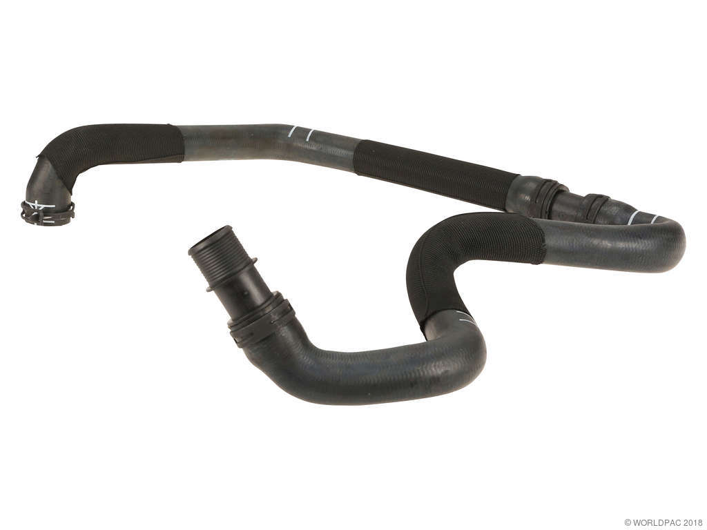 2013-2016 Mini Cooper Paceman Radiator Coolant Hose - Lower (Genuine)