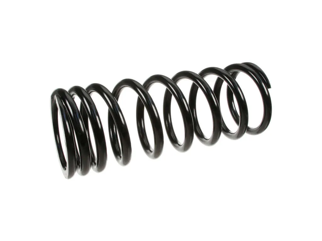 1999-2002 Land Rover Discovery Coil Spring - Rear (Lesjofors)