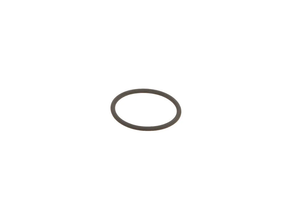 2007-2009 Audi Q7 Engine Crankcase Breather O-Ring (Genuine)