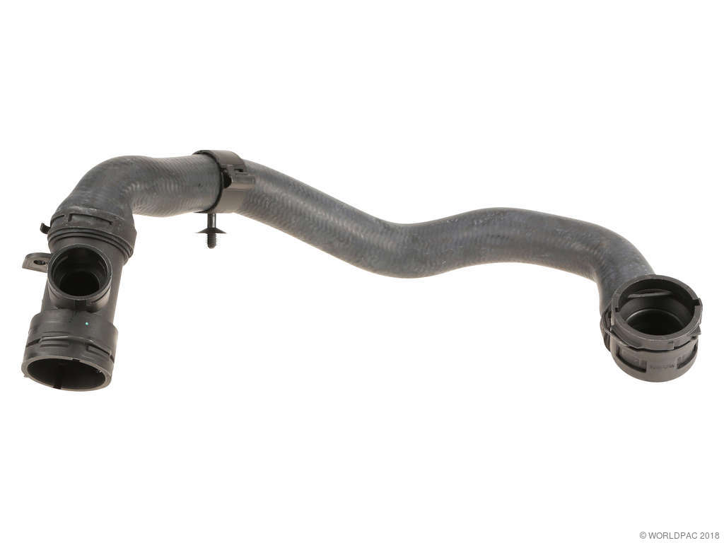2008-2009 Audi TT Radiator Coolant Hose - Lower (Vaico)