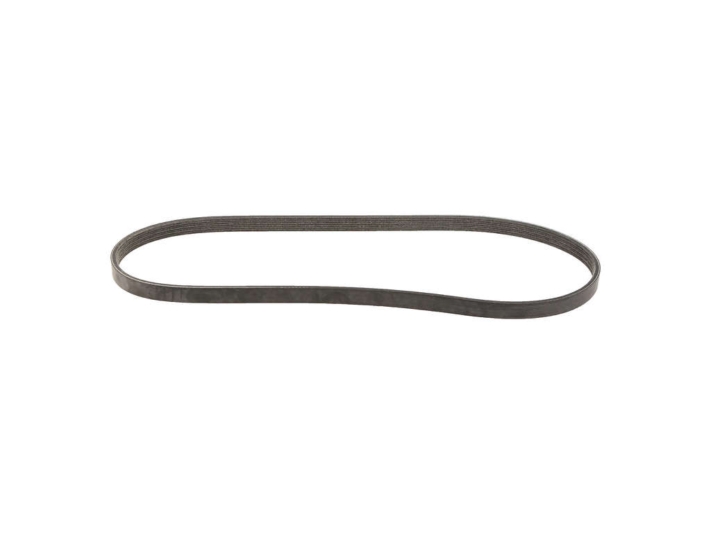 2019-2022 Ford Transit Connect Accessory Drive Belt -  or Compressor or Water Pump and Alternator (Dayco)