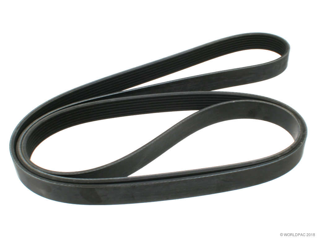 1997-2001 Dodge Dakota Accessory Drive Belt (Gates)