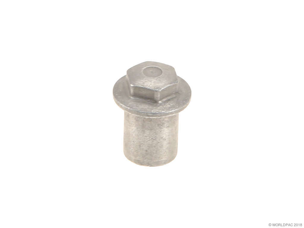 2004-2005 BMW 545i Engine Valve Cover Nut (Genuine)