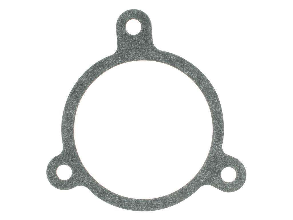 1989-1990 BMW 525i Engine Water Pump Gasket (Mahle)