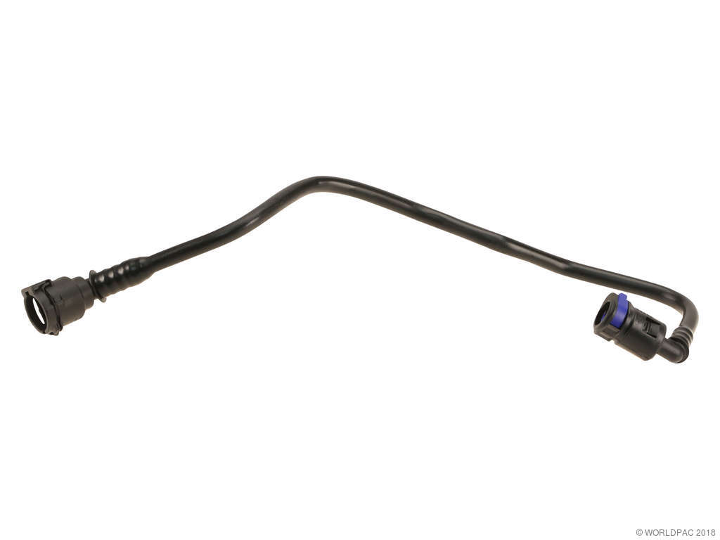 2012 BMW 650i Engine Coolant Hose (Genuine)