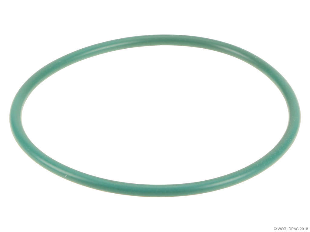 2006-2010 Kia Optima Fuel Pump Tank Seal (Genuine)