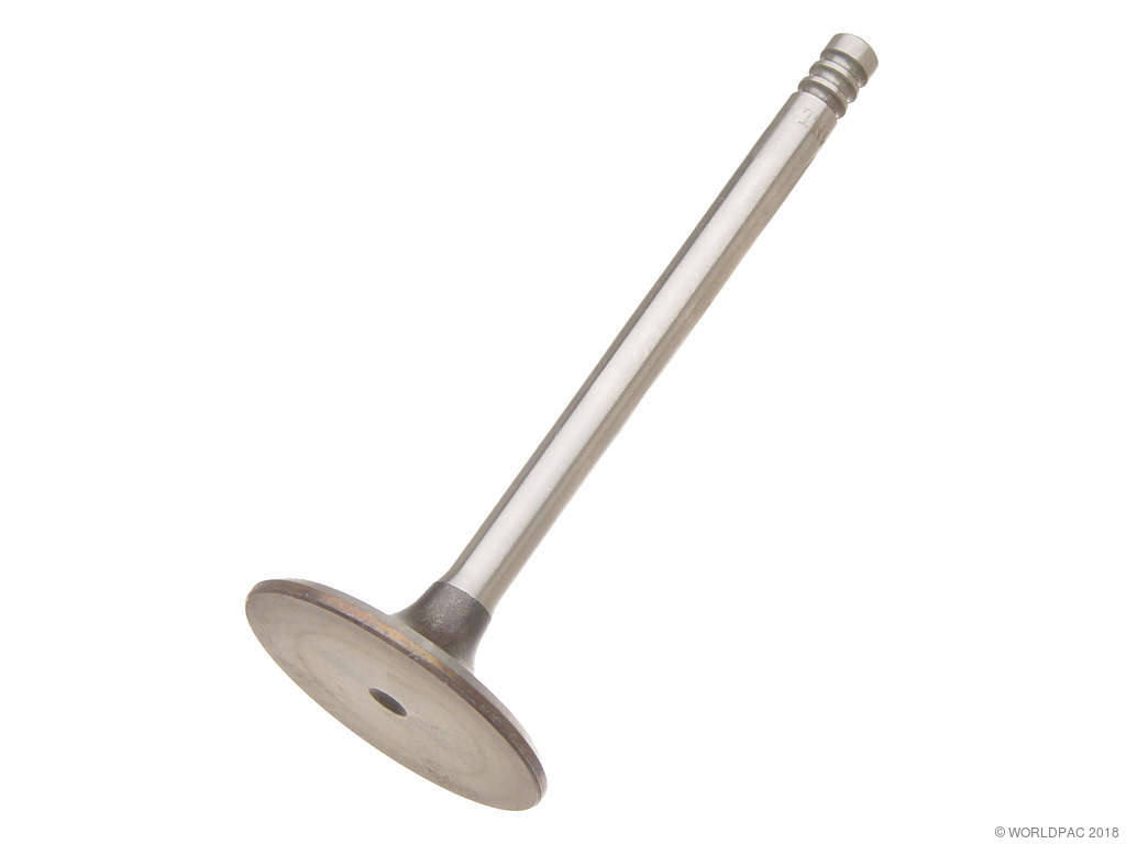 1986-1987 BMW 325 Engine Intake Valve (TRW)