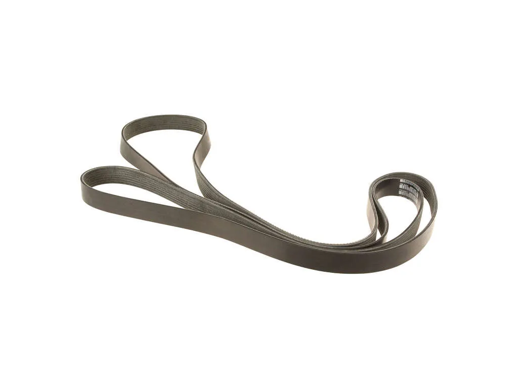 2000-2003 Ford Excursion Accessory Drive Belt (Motorcraft)