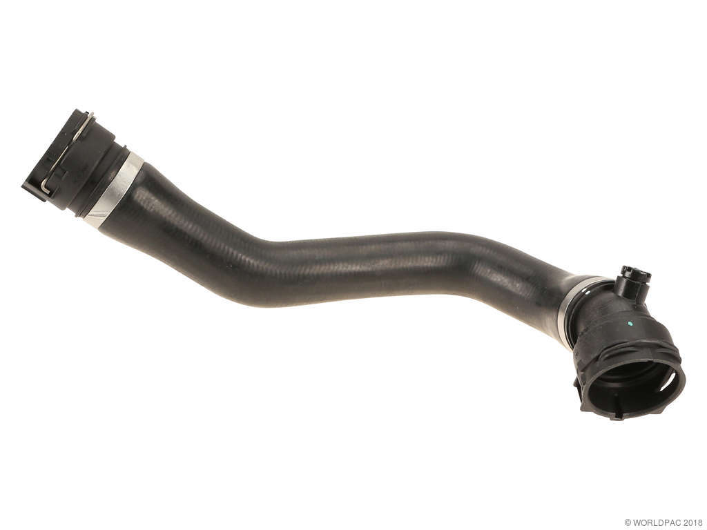 2012-2018 BMW 320i Radiator Coolant Hose - Lower (Rein)