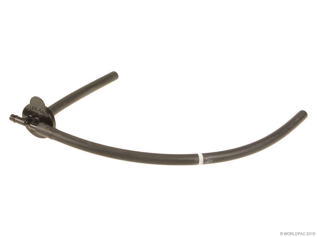 2004-2006 Lexus ES330 Engine Coolant Reservoir Cap (Genuine)