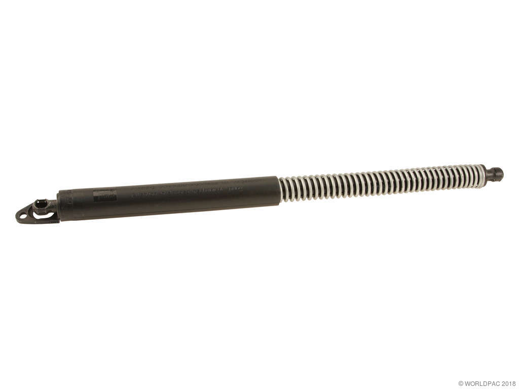 2006-2008 BMW 750i Trunk Lid Lift Support - Left (Genuine)