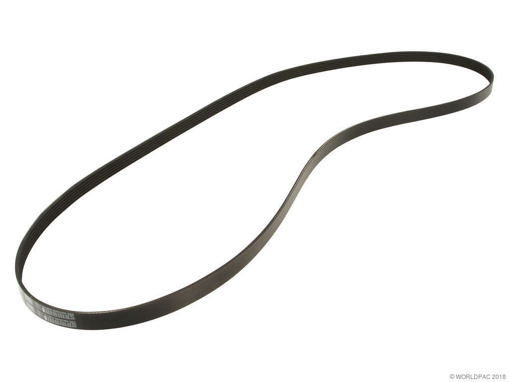 1996-2000 Dodge Caravan Accessory Drive Belt - Primary (Dayco)