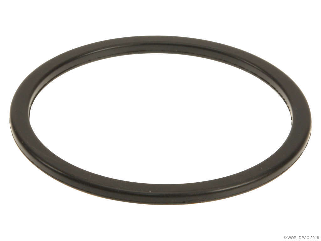 1997-2001 Lexus ES300 Fuel Pump Tank Seal (Genuine)