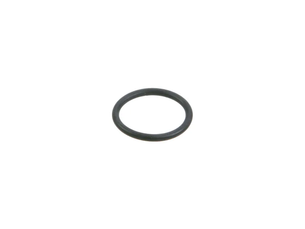 1991-1995 BMW 525i Engine Coolant Thermostat Seal (Genuine)