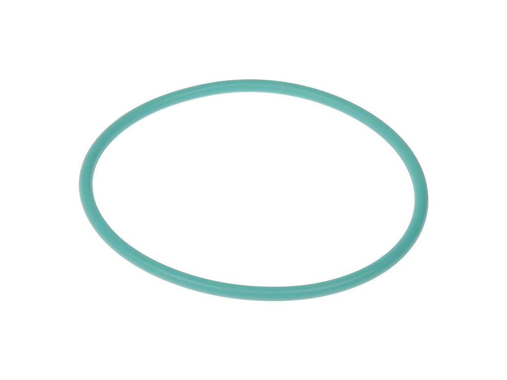 2004-2022 Dodge Durango Fuel Pump Tank Seal (Dorman)