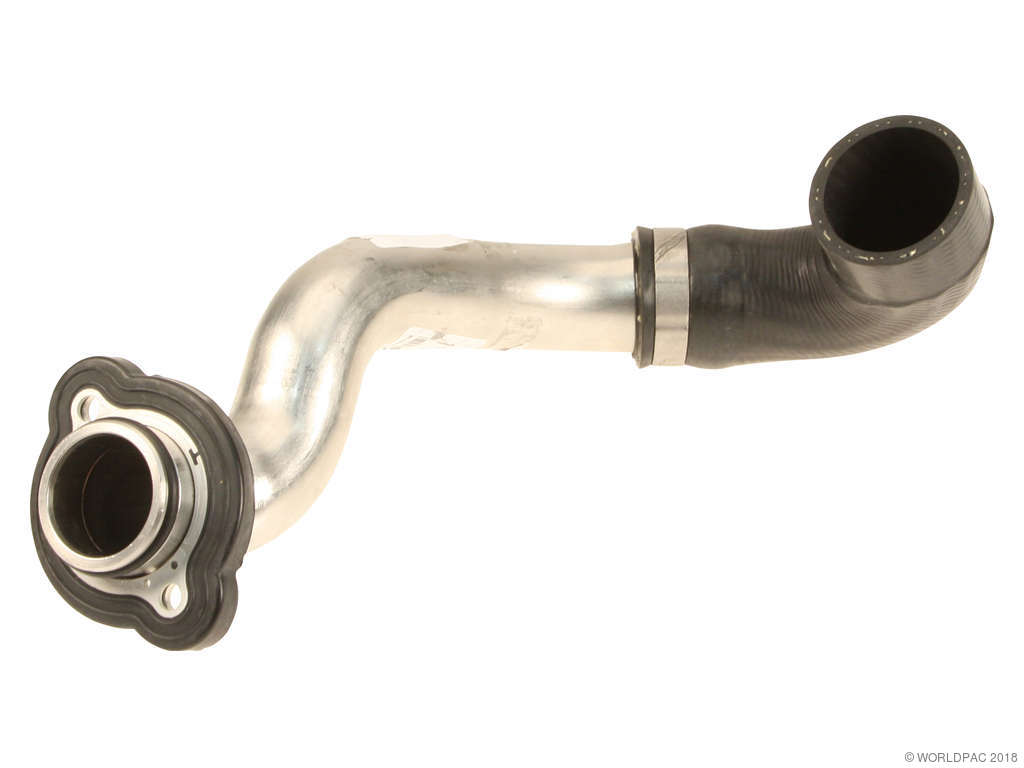 2011 BMW 528i Engine Coolant Hose (Genuine)