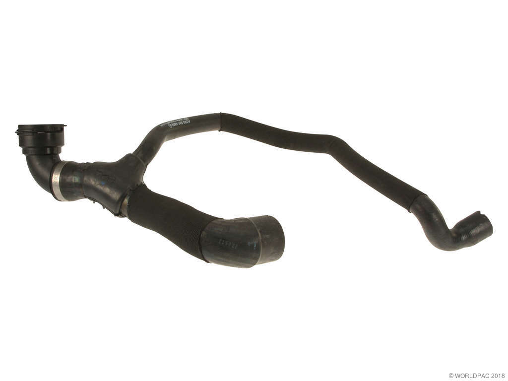 2001-2006 Mercedes-Benz CL600 Radiator Coolant Hose - Lower (Genuine)