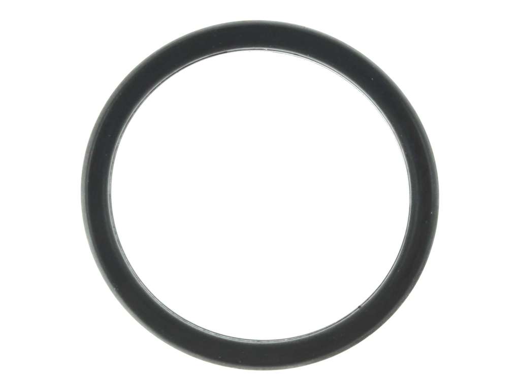 2017-2019 Ford Fiesta Engine Coolant Thermostat Gasket (Mahle)