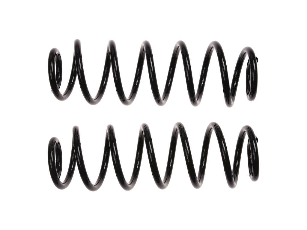 2005-2009 Volkswagen Jetta Coil Spring - Rear (Autopart International)