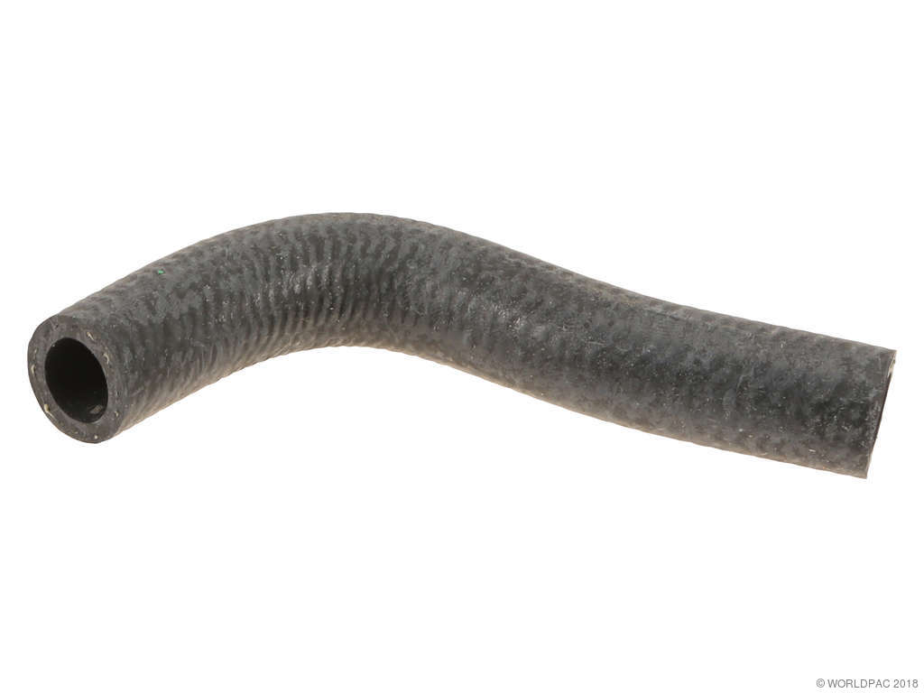 1999-2002 Nissan Quest Engine Coolant Hose (Genuine)