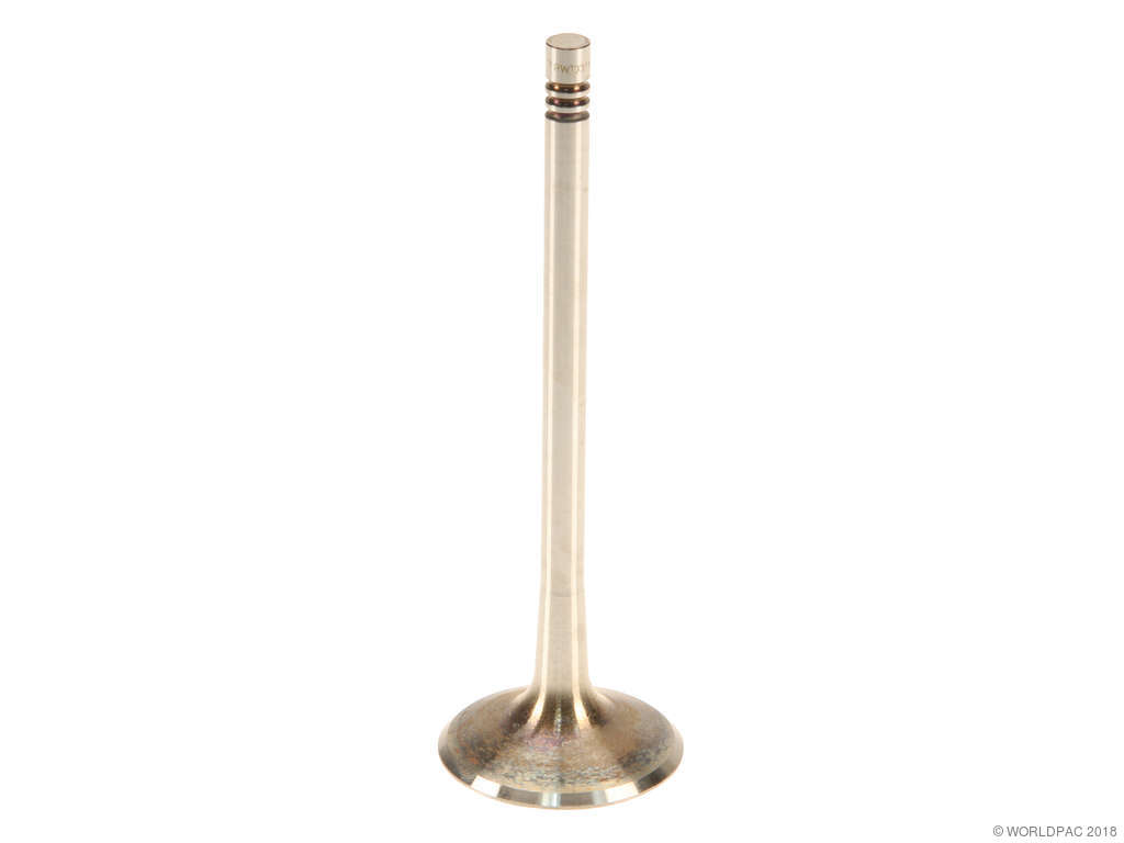 2006-2011 Audi A6 Engine Intake Valve (TRW)