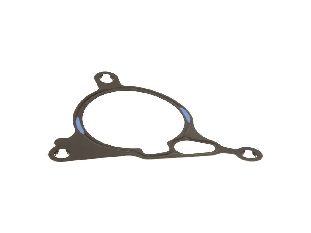 2013-2014 Volkswagen GTI Diesel Vacuum Pump Gasket (Elring)
