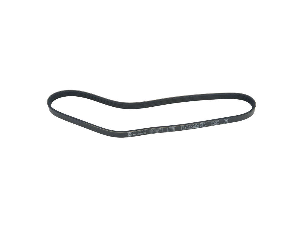 2010-2022 Audi R8 Accessory Drive Belt - Alternator (Autopart International)