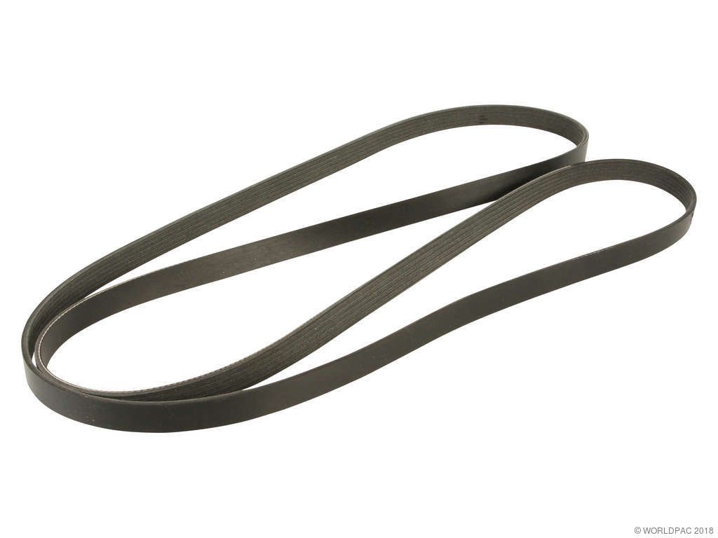 1996-2000 Chevrolet Express 3500 Accessory Drive Belt - Alternator and Power Steering (Dayco)